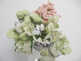 Dried SDLM & Hydrangea