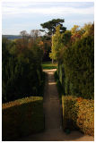 Versailles Garden