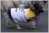 Barkus Pet Parade