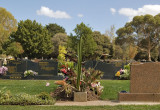 DSC_1915.jpg