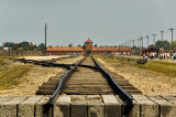 DSC_3956.jpg