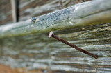 DSC_4292.jpg