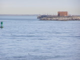 Seals CBBT 02-07 g.JPG