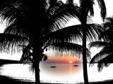 Eleuthera Bahamas 2003 - 2006