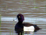 DSCF0521_redi.jpg