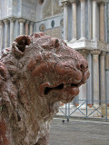 Piazzetta dei leoncini  0356