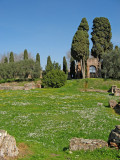 On the Palatine Hill  0681