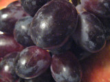 Grapes, closeup   1027