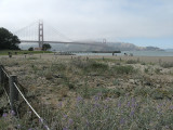 The Golden Gate Bridge from Crissy Field  <br />1925
