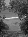 Path to the beach <br />3593bw