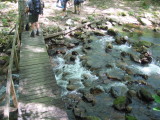 IMG_0773.JPG