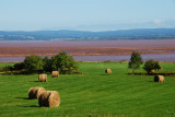 Farming in the view of fundy