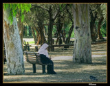 A Quiet Corner to Meditate.jpg
