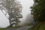 Fog in the Black Mountains