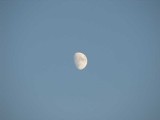 moon-half.jpg