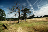 Redding to Truckee