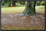Nueva Zelanda Abril 2007