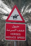 Race Horse crossing sign, Dubai