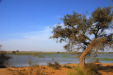 Niger River near Ansongo