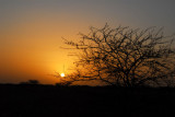 Sunset, Niger