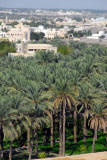 Palm grove, Nakhl
