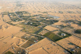 Farms in the desert, Ajman/Sharjah