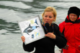 The guide on the whale watch describing the White-beaked Dolphin