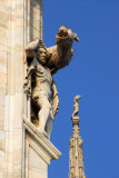 Dragon, Milan Cathedral