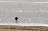 Man washing in the Saloum River by Kaolack