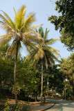 Tropical Luang Prabang