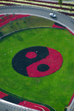 Yin-Yang in flowers, Dubai