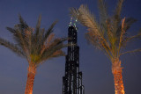 Burj Dubai with two palms