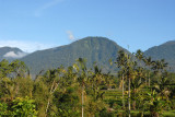 GUNUNG ADENG (1826 m) Bali