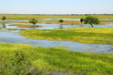Wetlands along the Bani River near Djenn