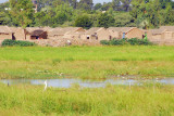 Mopti is surrounded by wetlands