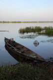 Pirogue on the shore of the Senegal River, Mali