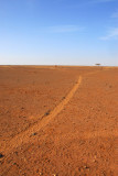 Animal trails through the desert, Mali