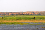 Niger River, Mali