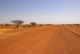 The road from Ansongo to the Niger border at Labbezanga, Mali