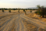 Road leading south from Felou towards Diamou, Mali