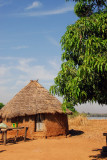 Dilia, Mali