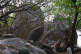 La Grotte Marial Notre Dame dArigbo, Dassa-Zoum, Benin