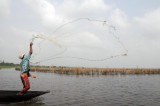 Fisherman casting a net for cadeau, Lac Nakou, Benin