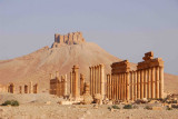 Grand Colonnade heading towards Diocletians Camp and the Arab Citadel, Palmyra