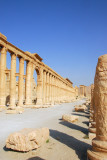 Grand Colonnade, Palmyra