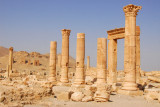 Camp of Diocletian, Palmyra