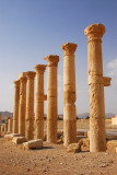 Ancient City of Palmyra