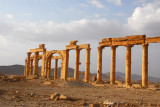 Western end of the Great Colonnade, Palmyra