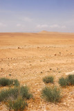 Syrian desert