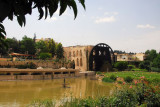 Parkland along the north shore of the Orontes River, Hama